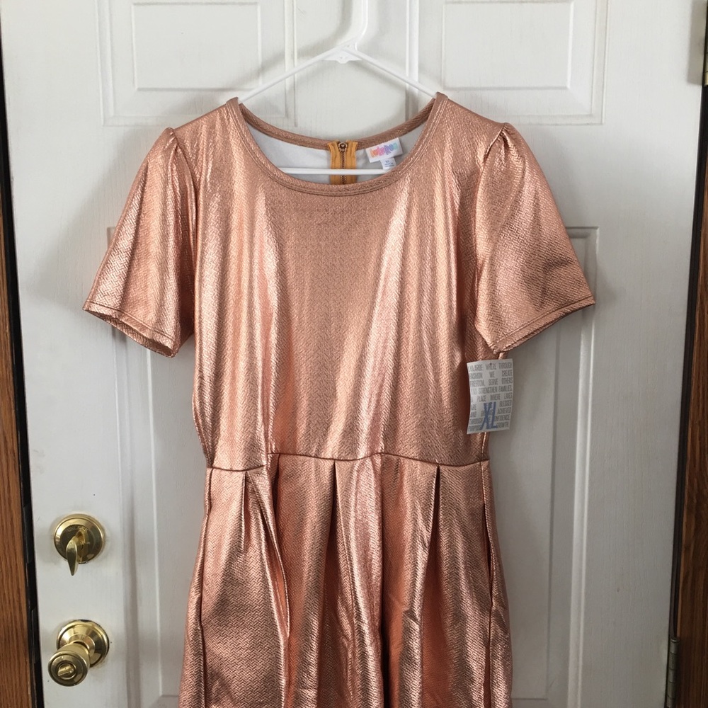 LuLaRoe XL Amelia dress NWT